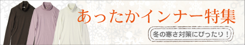 ���������C���i�[���W